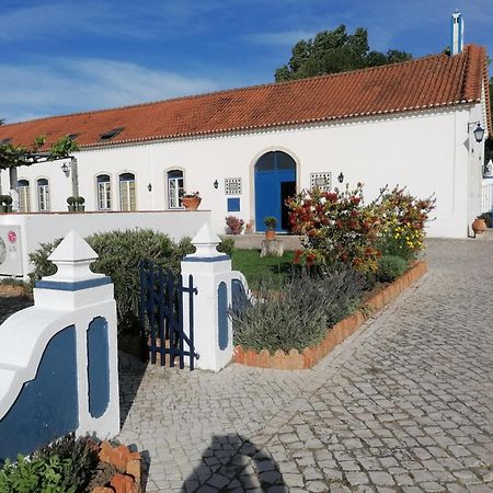 Marchanta Santarém Buitenkant foto