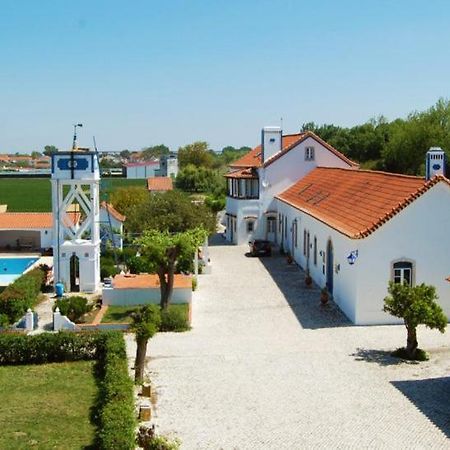 Marchanta Santarém Buitenkant foto