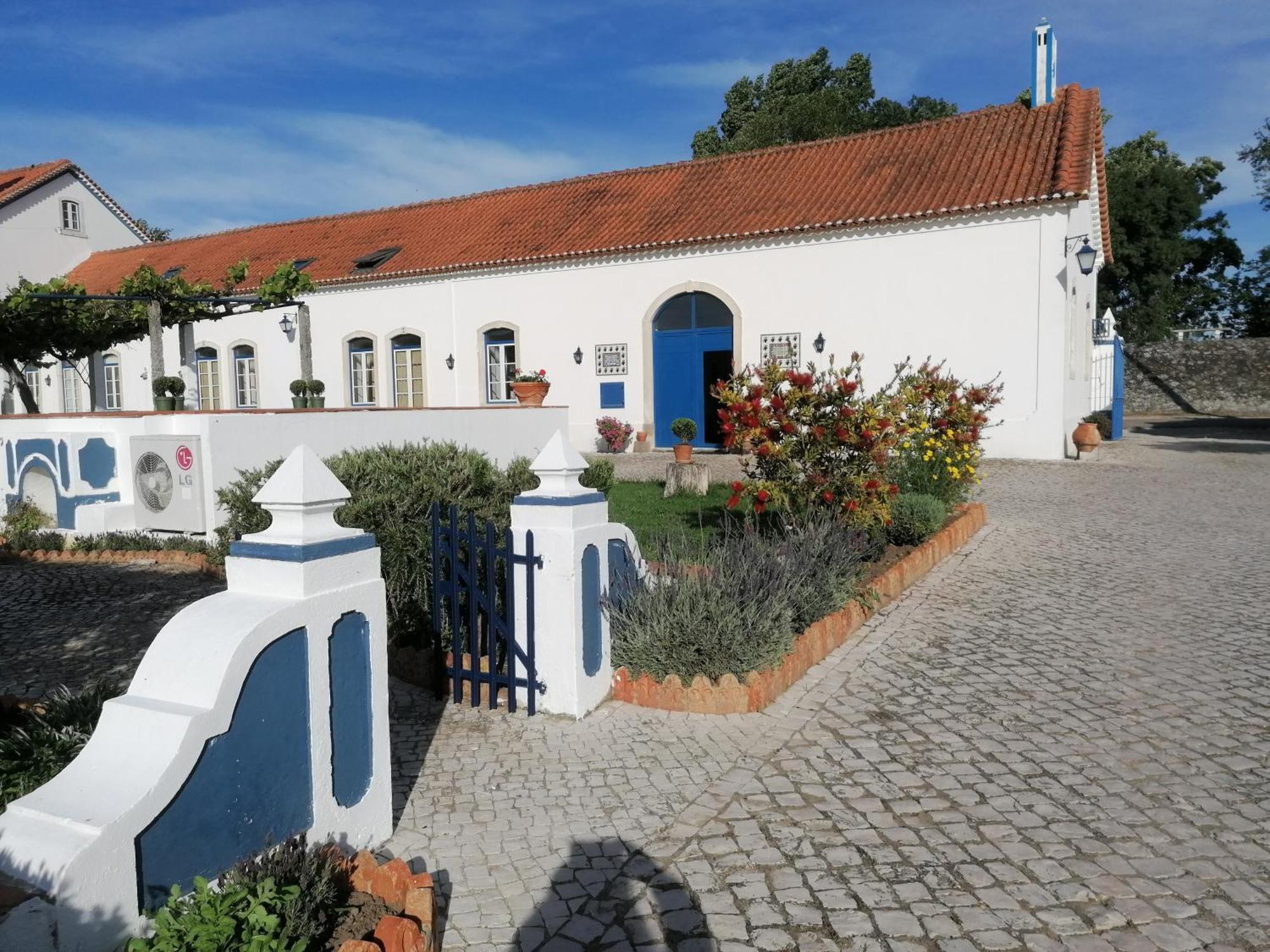 Marchanta Santarém Buitenkant foto