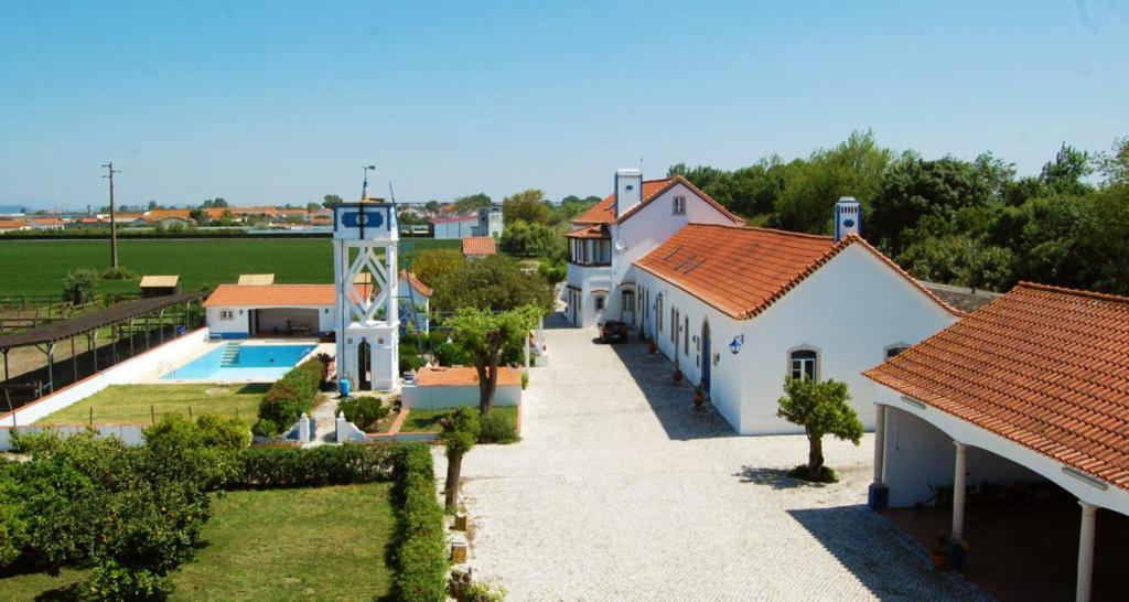Marchanta Santarém Buitenkant foto