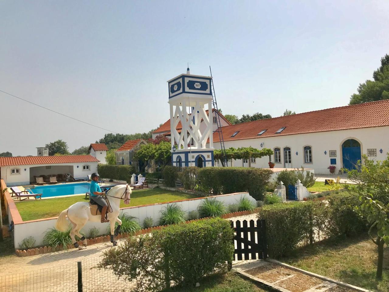 Marchanta Santarém Buitenkant foto