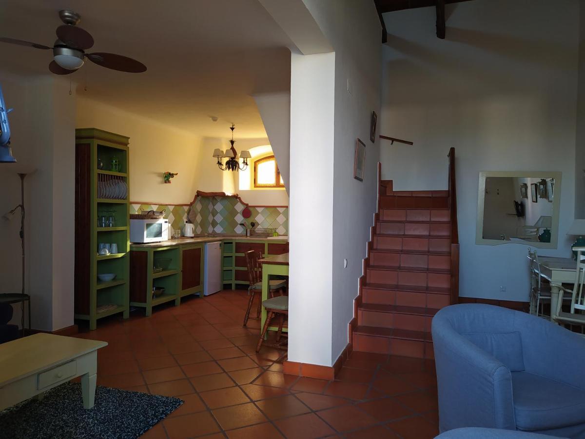 Marchanta Santarém Buitenkant foto