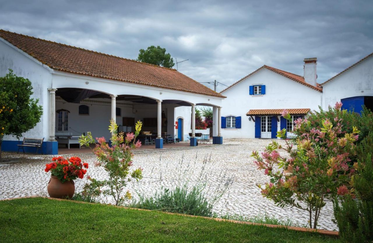 Marchanta Santarém Buitenkant foto